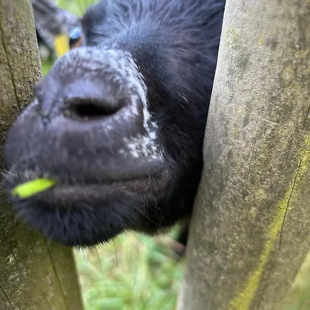 Romantikhuette Winterberg-willingen