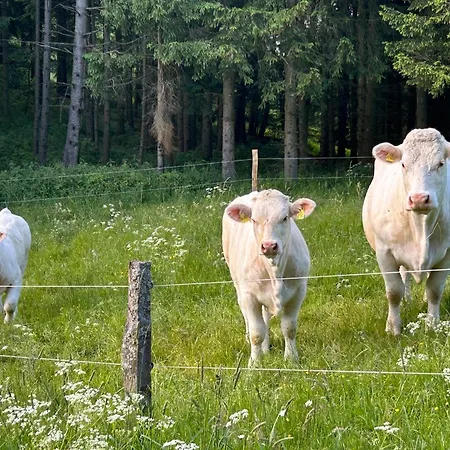 Romantikhuette Winterberg-willingen * Medebach