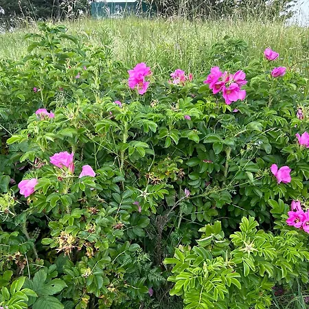 Prázdninový dům Romantikhuette Winterberg-willingen