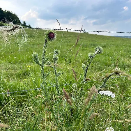 Romantikhuette Winterberg-willingen Prázdninový dům *