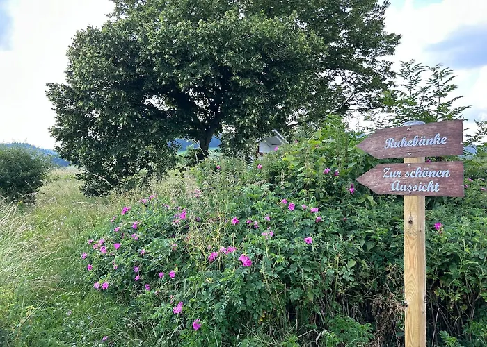 Romantikhuette Winterberg-willingen 別荘