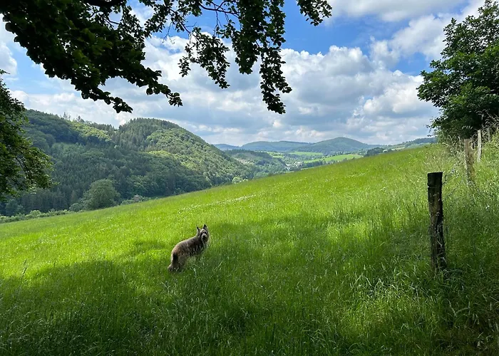 Romantikhuette Winterberg-willingen *