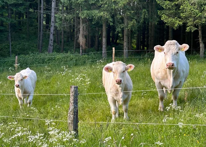 Romantikhuette Winterberg-willingen * メーデバッハ