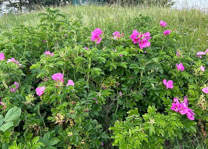 別荘 Romantikhuette Winterberg-willingen