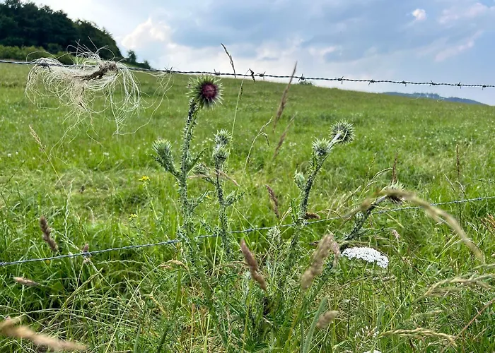 Romantikhuette Winterberg-willingen 別荘 *
